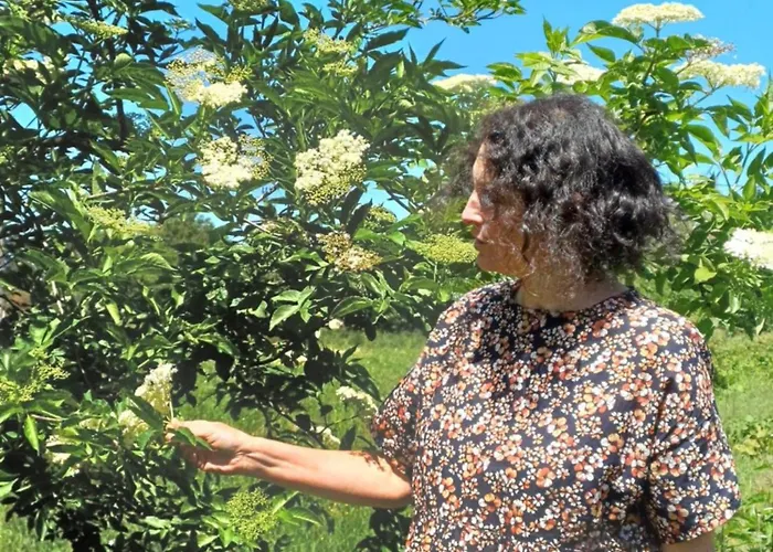 La Passemarie * Andouque